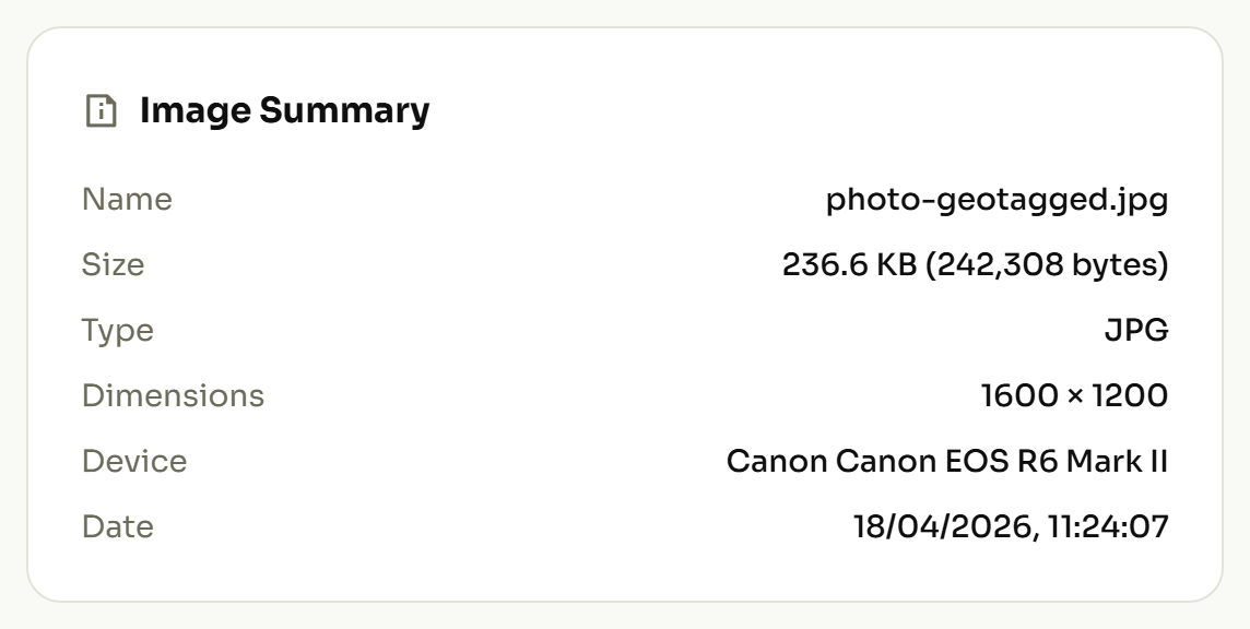 EXIF viewer summary panel giving an at-a-glance count of the metadata groups found in a photo